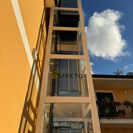 B&B Oliveto กาแซร์ตา ภายนอก รูปภาพ